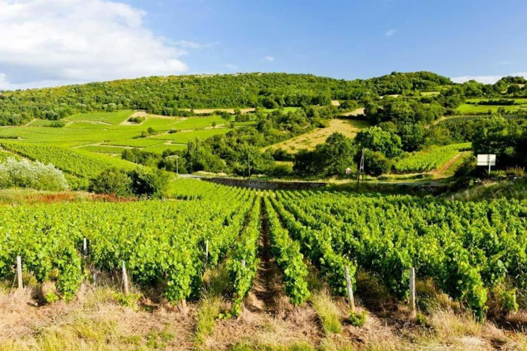 Le Chardonnay - Locationtournus Lejlighed Eksteriør billede